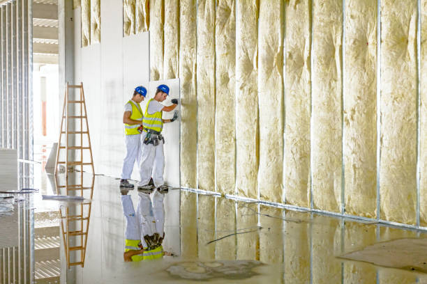 Best DIY Insulation Kits and Guidance in Tinton Falls, NJ